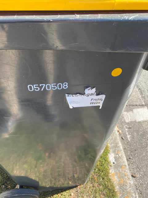 Rubbish/Recycling, a report photo
