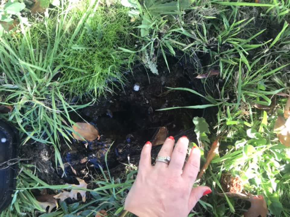 The photograph attached to this water supply report