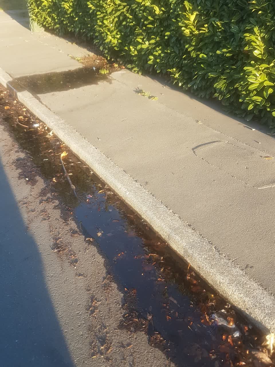 The photograph attached to this water supply report