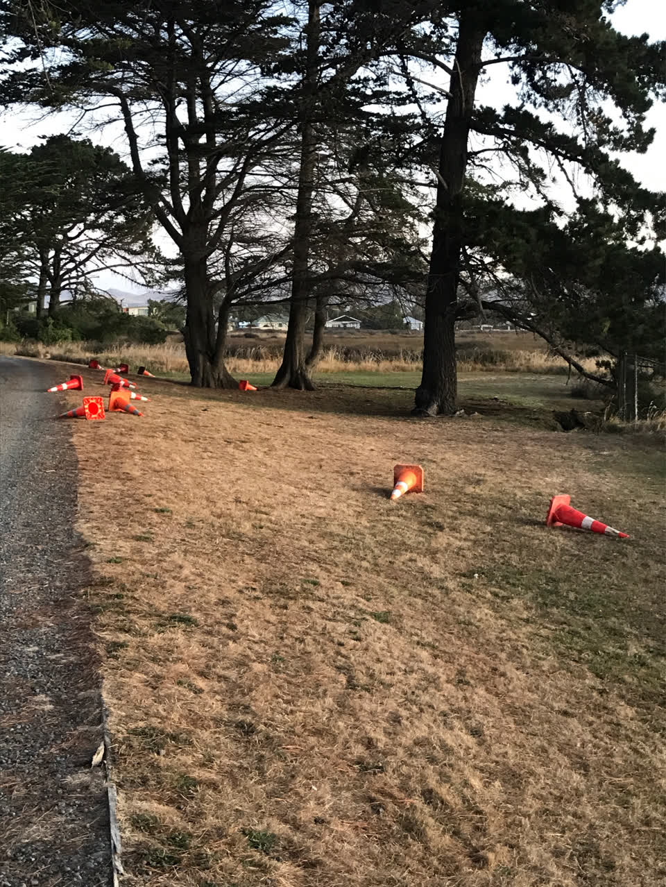 The photograph attached to this parks report