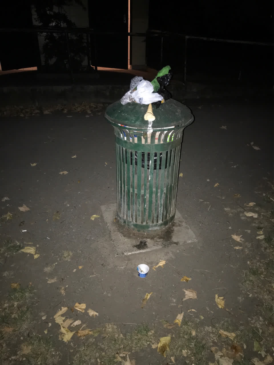 The photograph attached to this parks report