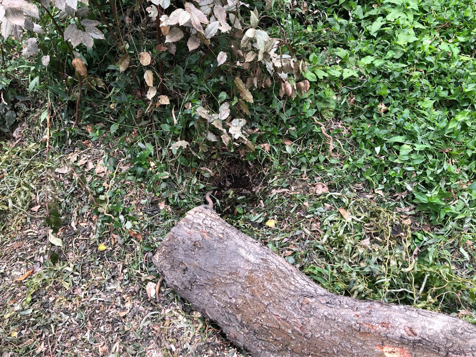 The photograph attached to this wastewater/stormwater report