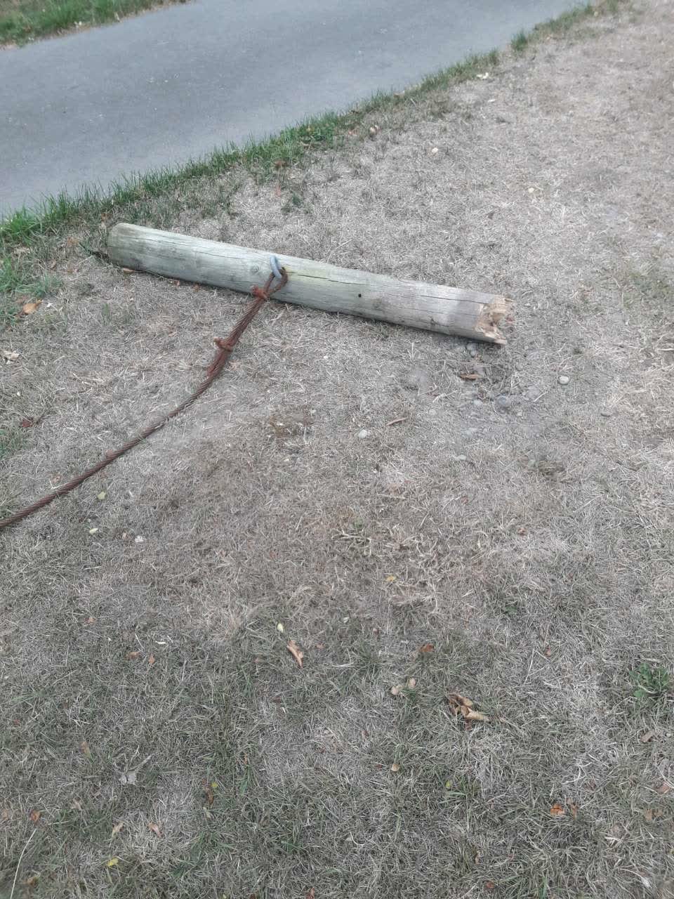 The photograph attached to this parks report