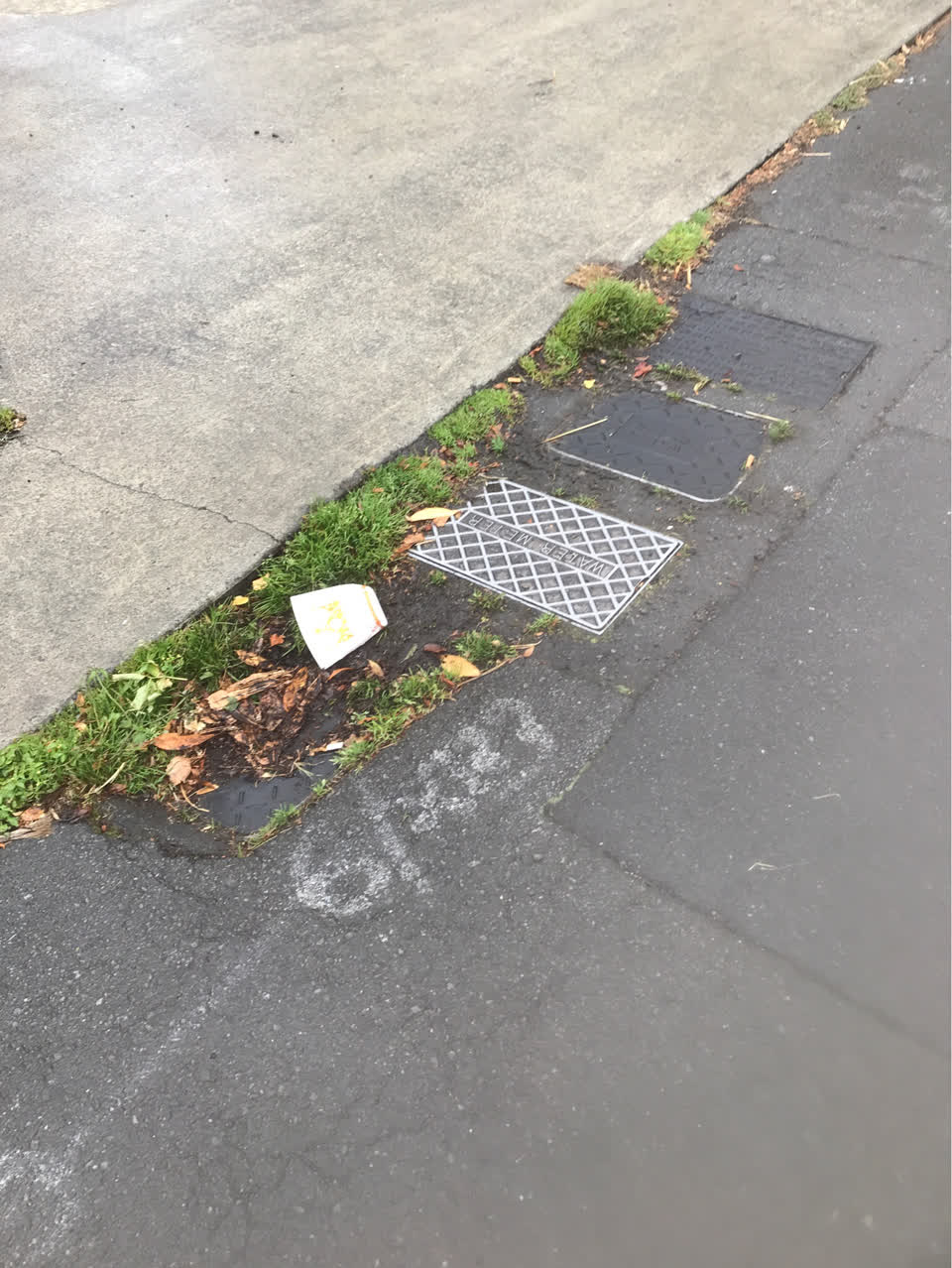 The photograph attached to this water supply report