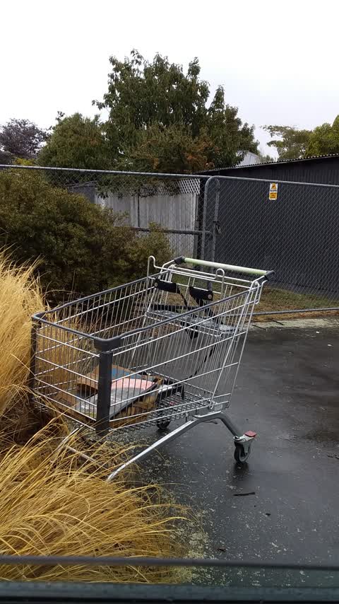 Rubbish/Recycling, a report photo