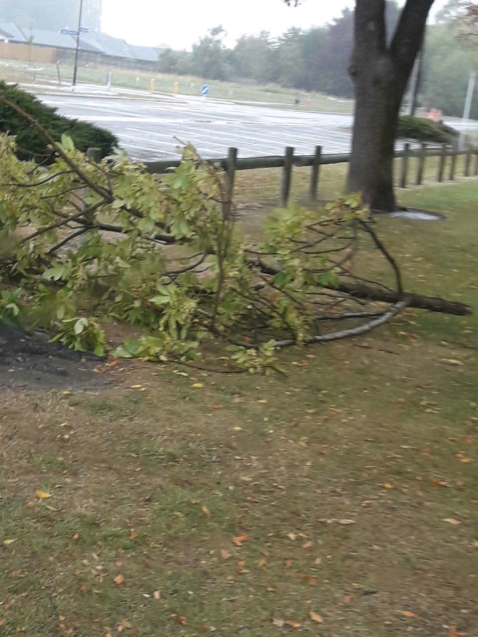 The photograph attached to this parks report
