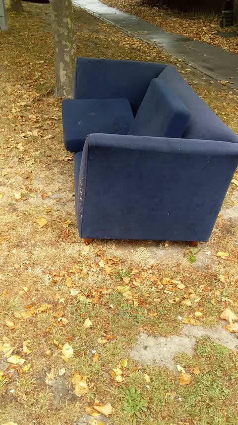 Rubbish/Recycling — a report photo
