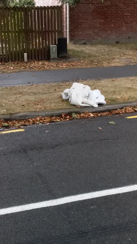 Rubbish/Recycling — a report photo