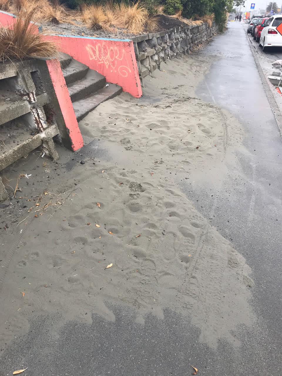The photograph attached to this parks report