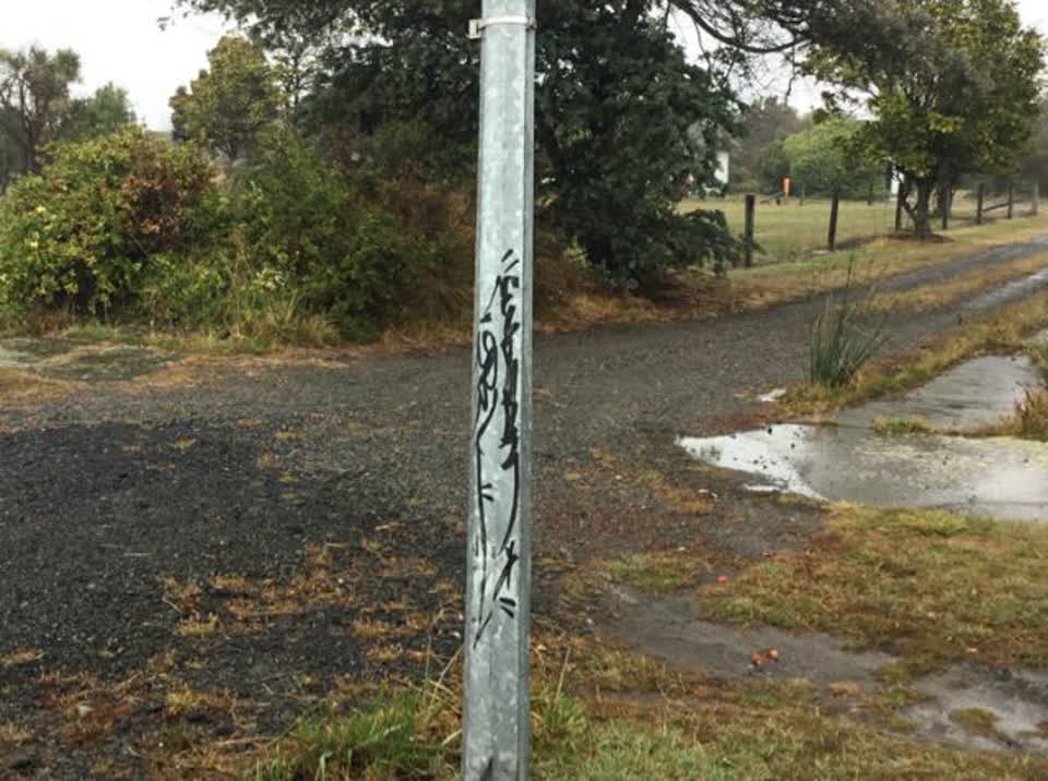 The photograph attached to this graffiti report