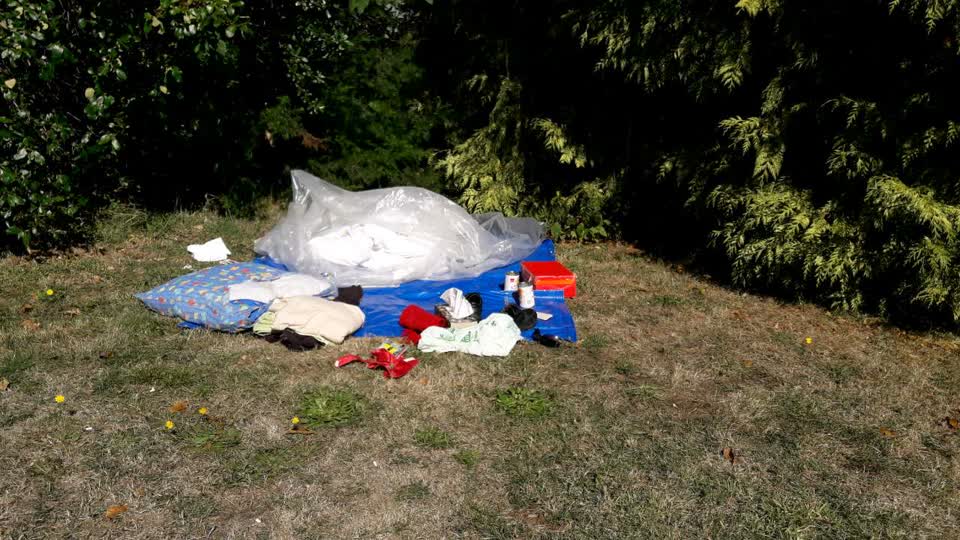 The photograph attached to this parks report