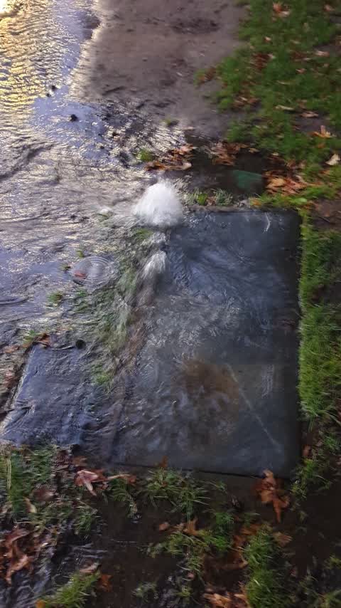 Flooding, a report photo