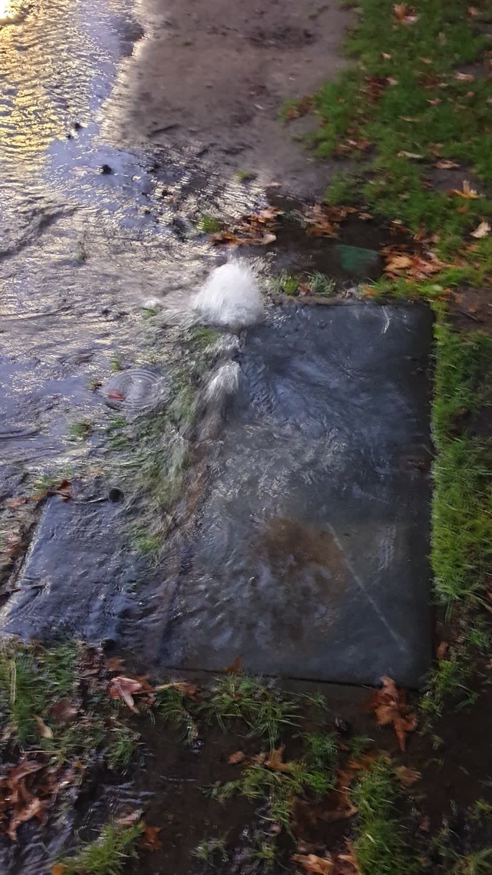 The photograph attached to this flooding report
