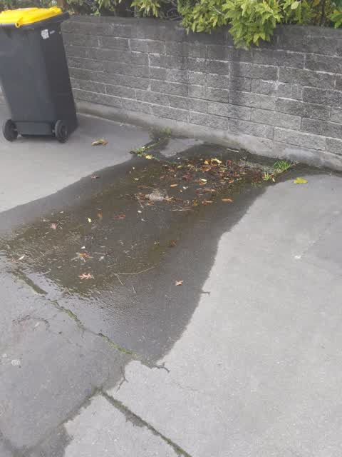 Water Supply, a report photo