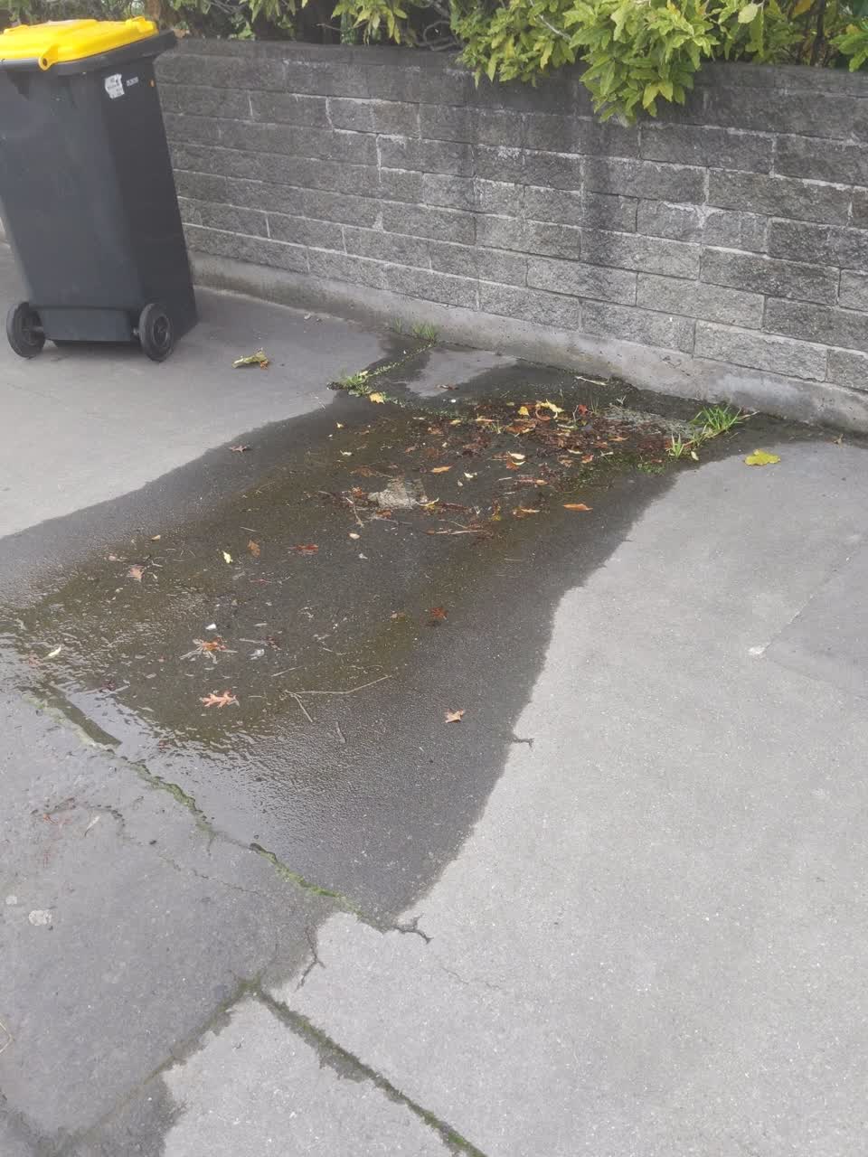 The photograph attached to this water supply report