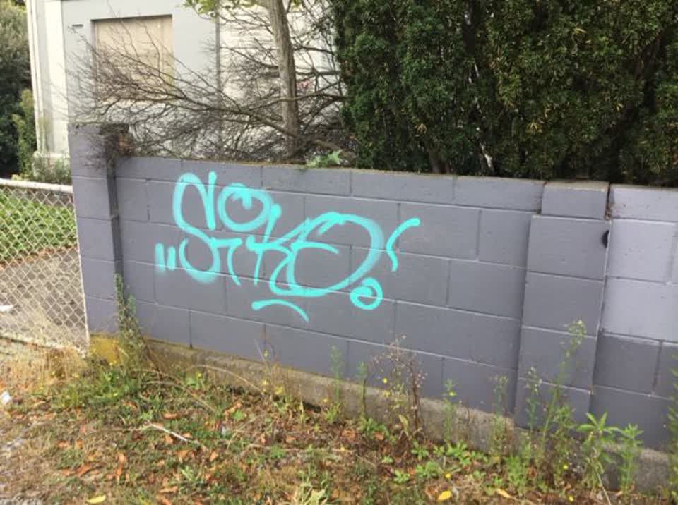The photograph attached to this graffiti report