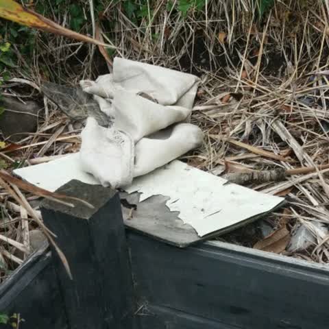 Rubbish/Recycling, a report photo