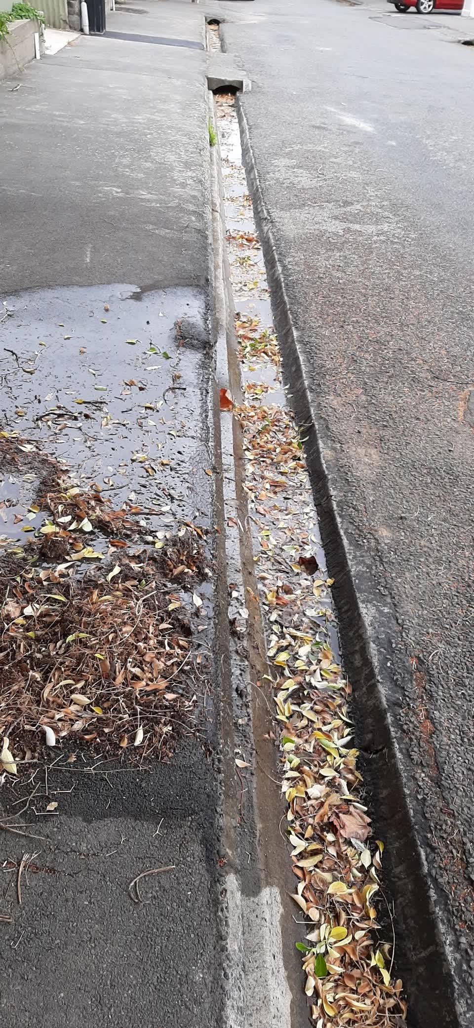 The photograph attached to this water supply report