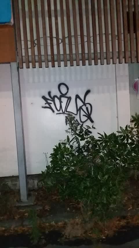 Graffiti, a report photo