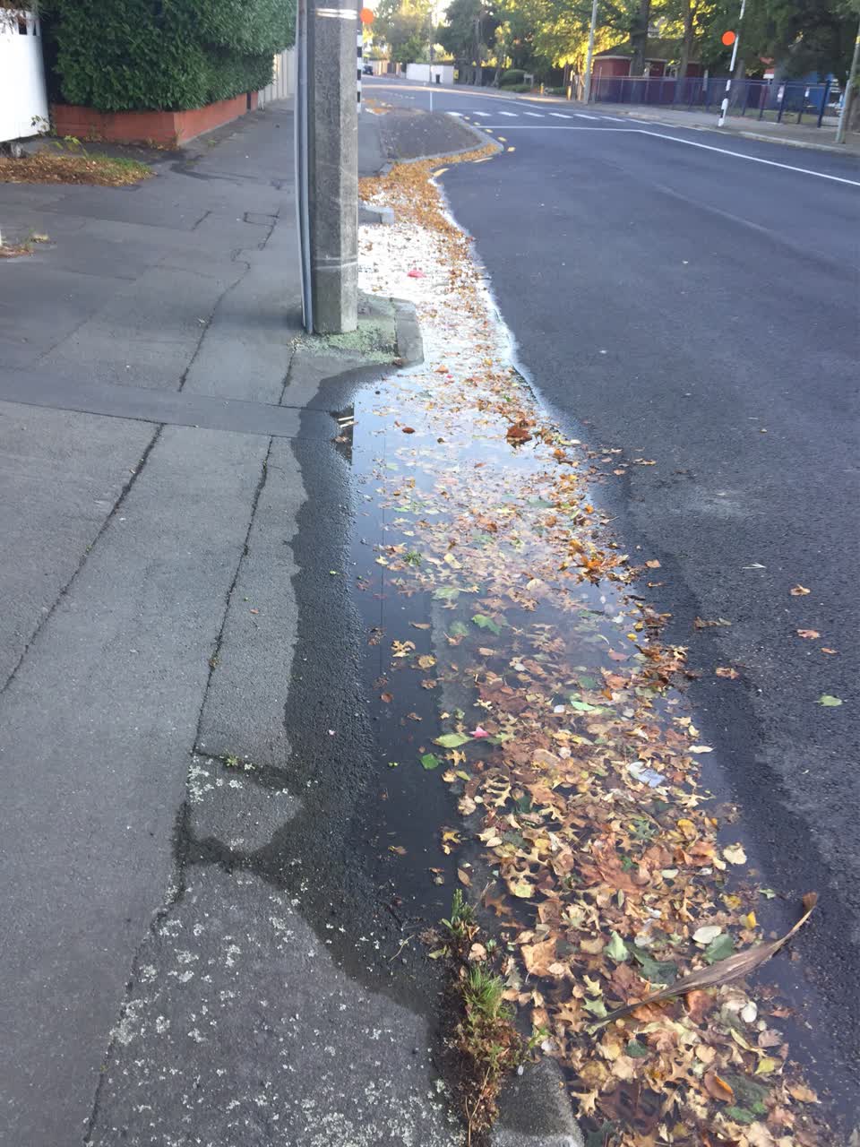 The photograph attached to this water supply report