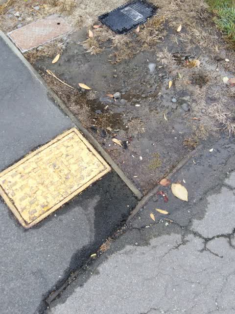 Water Supply, a report photo