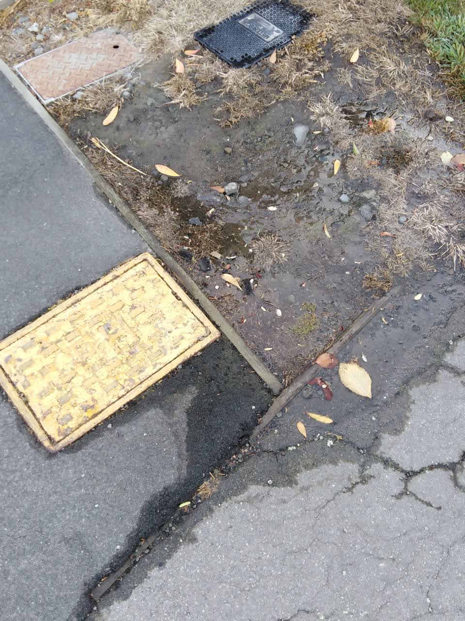 The photograph attached to this water supply report
