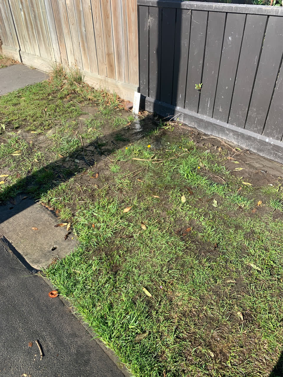 The photograph attached to this water supply report