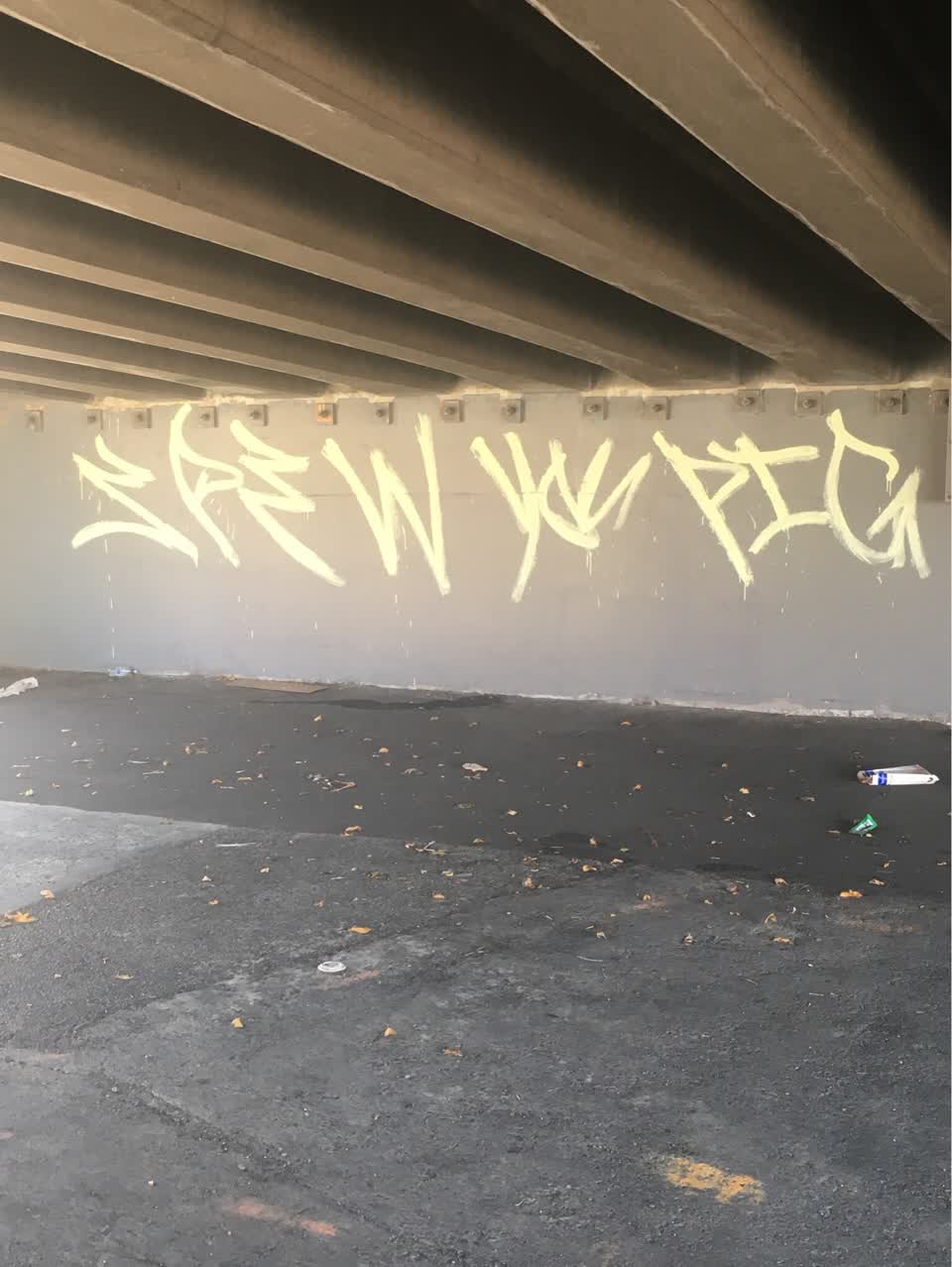 The photograph attached to this graffiti report
