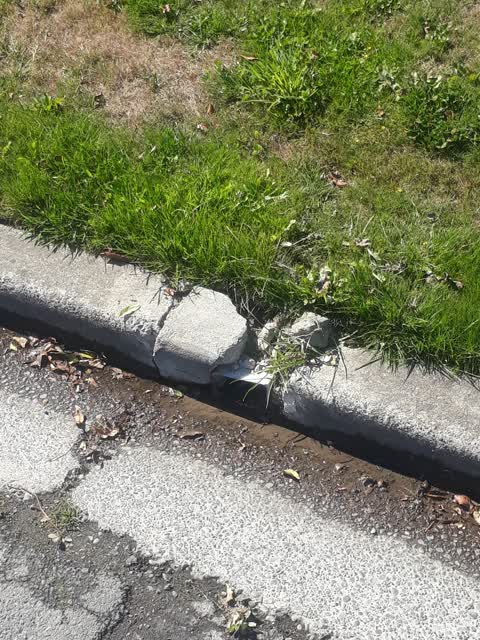 Wastewater/Stormwater, a report photo