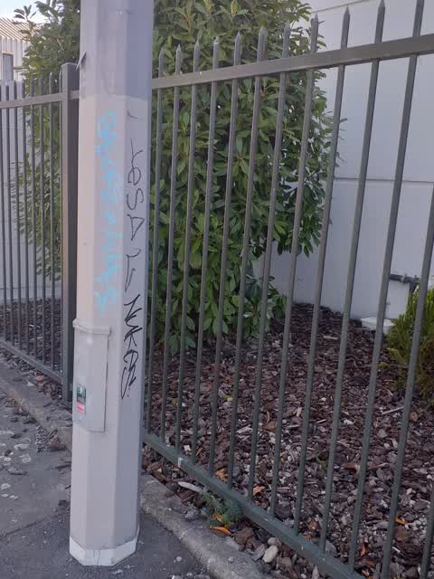 Graffiti, a report photo