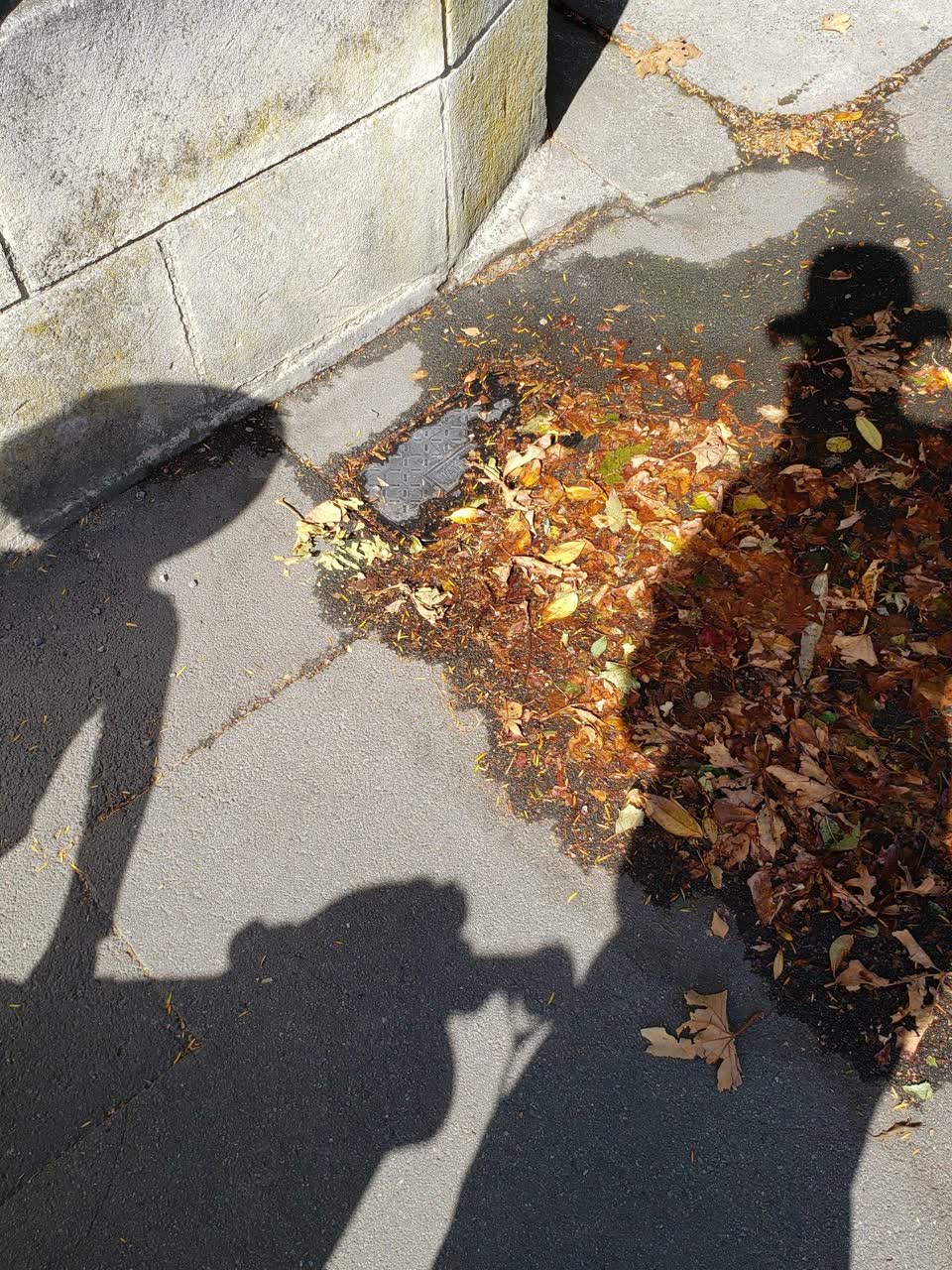 The photograph attached to this water supply report