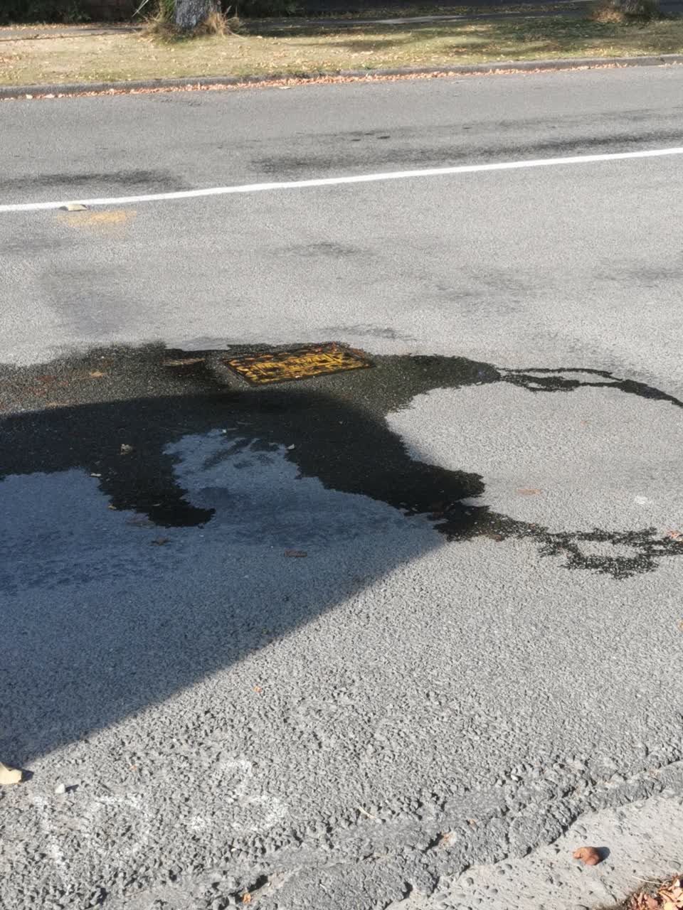 The photograph attached to this water supply report