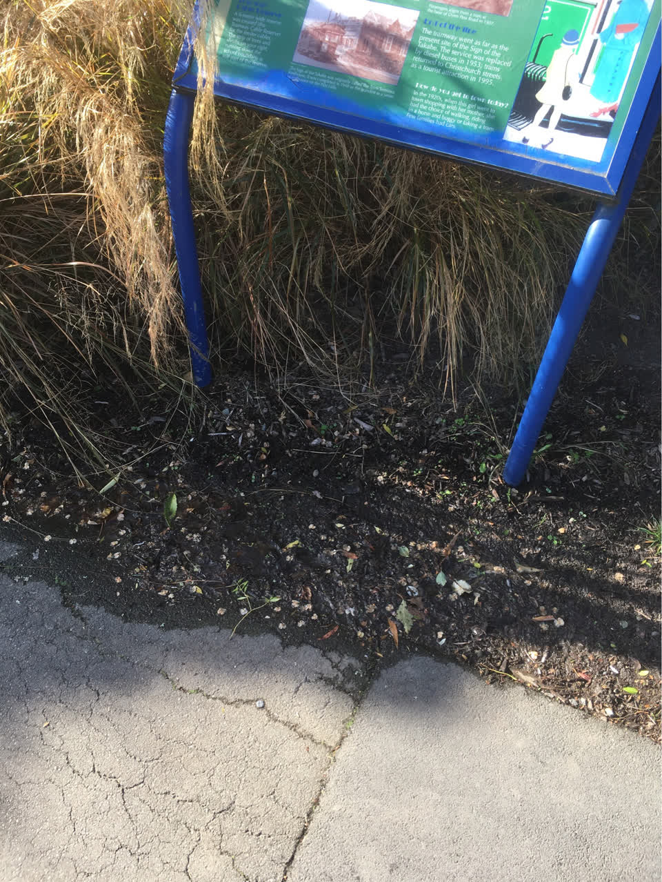 The photograph attached to this water supply report