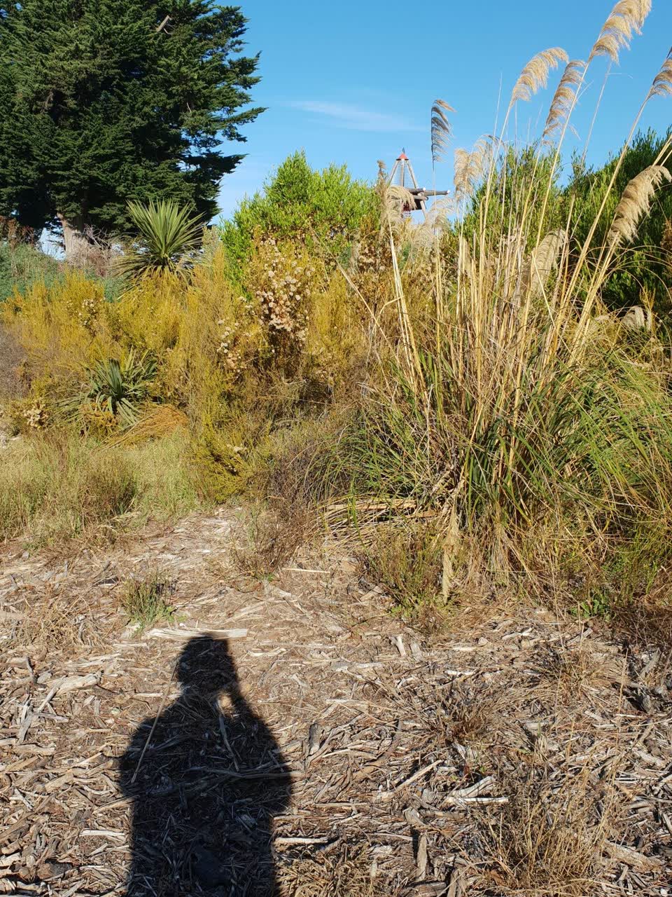 The photograph attached to this parks report