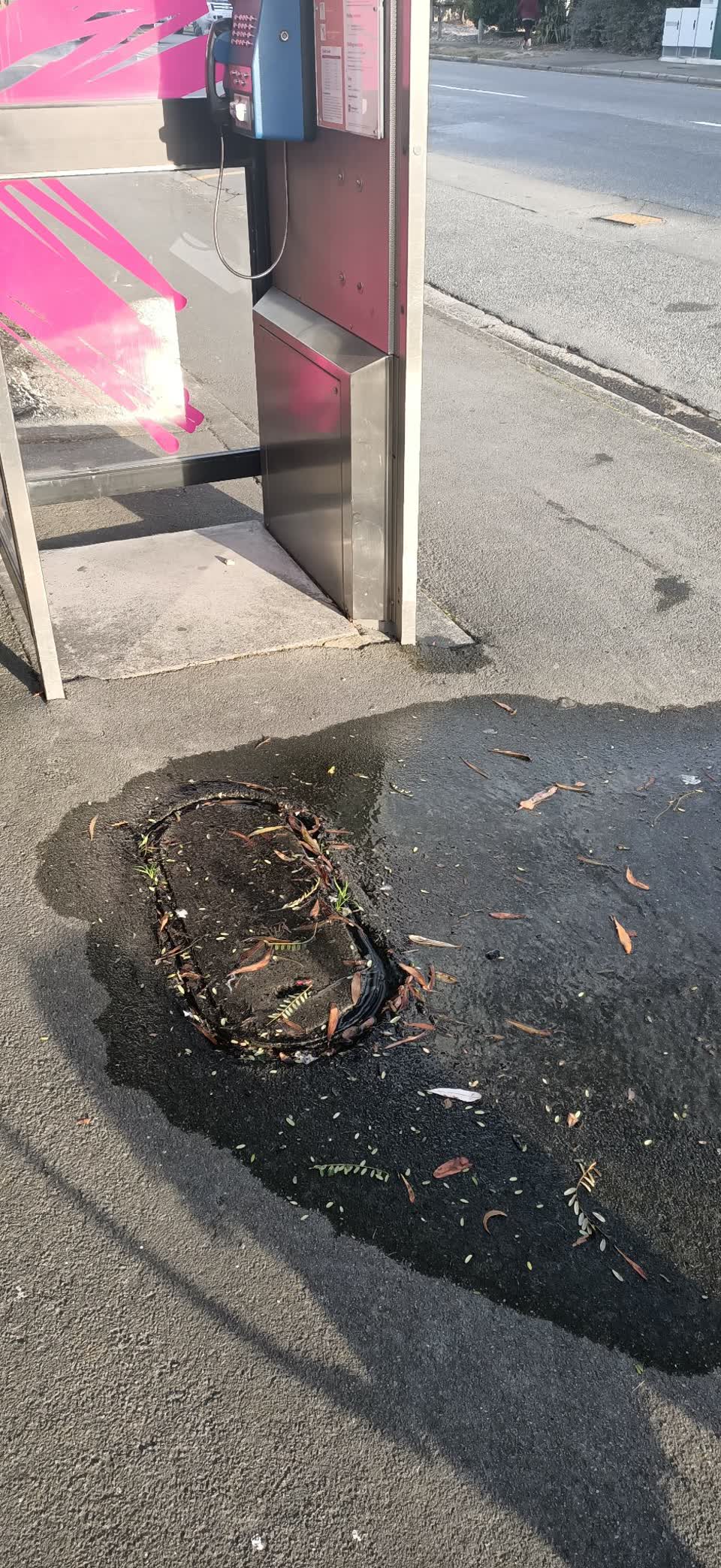 The photograph attached to this water supply report