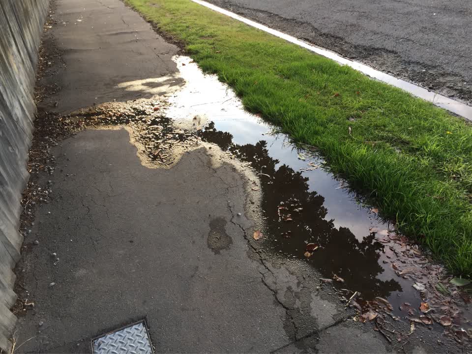 The photograph attached to this water supply report