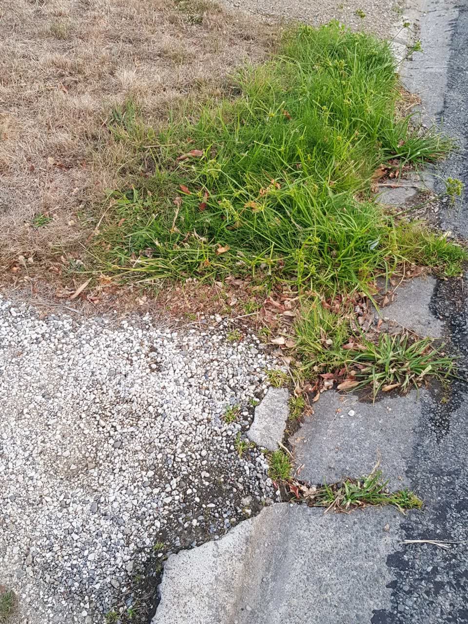 The photograph attached to this water supply report