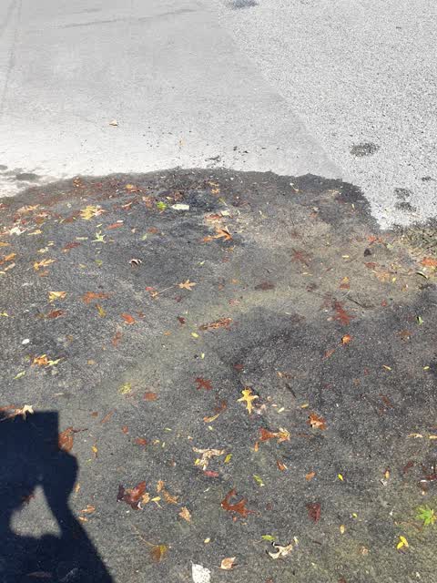 Flooding, a report photo