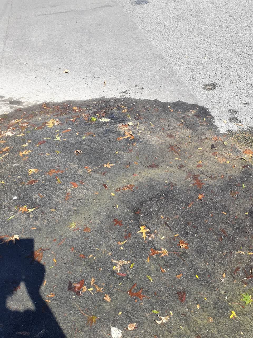 The photograph attached to this flooding report