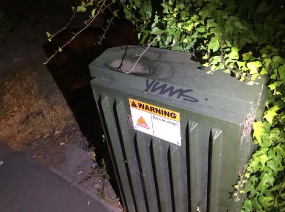 The photograph attached to this graffiti report