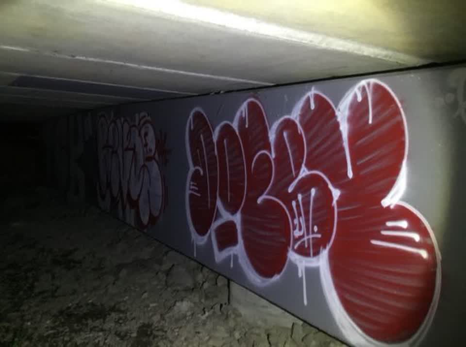 The photograph attached to this graffiti report