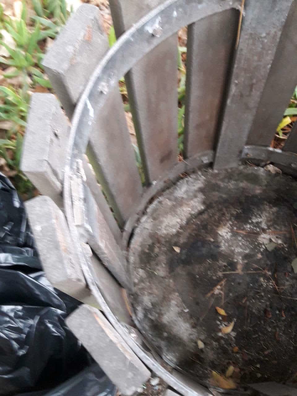 The photograph attached to this parks report