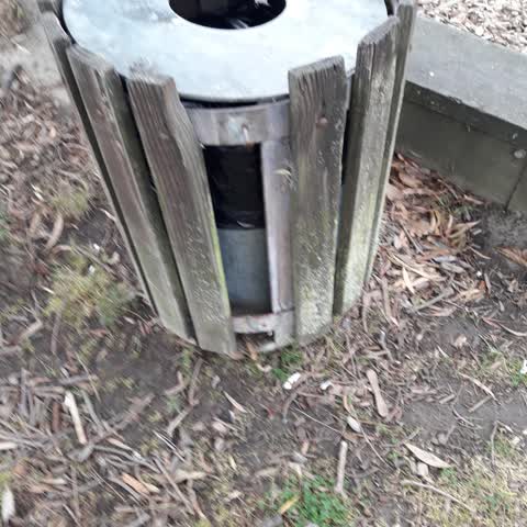 Rubbish/Recycling, a report photo