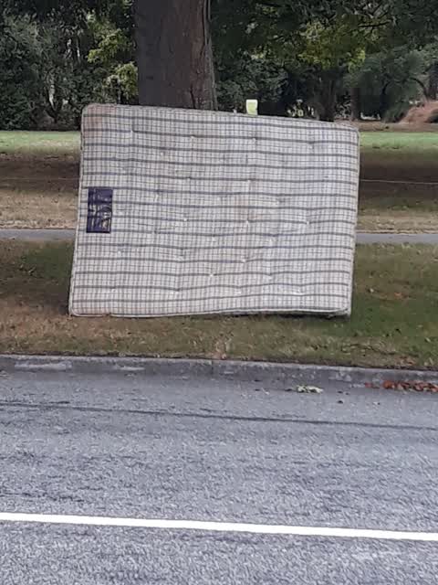 Parks, a report photo