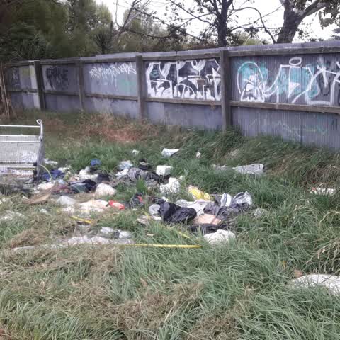 Parks, a report photo
