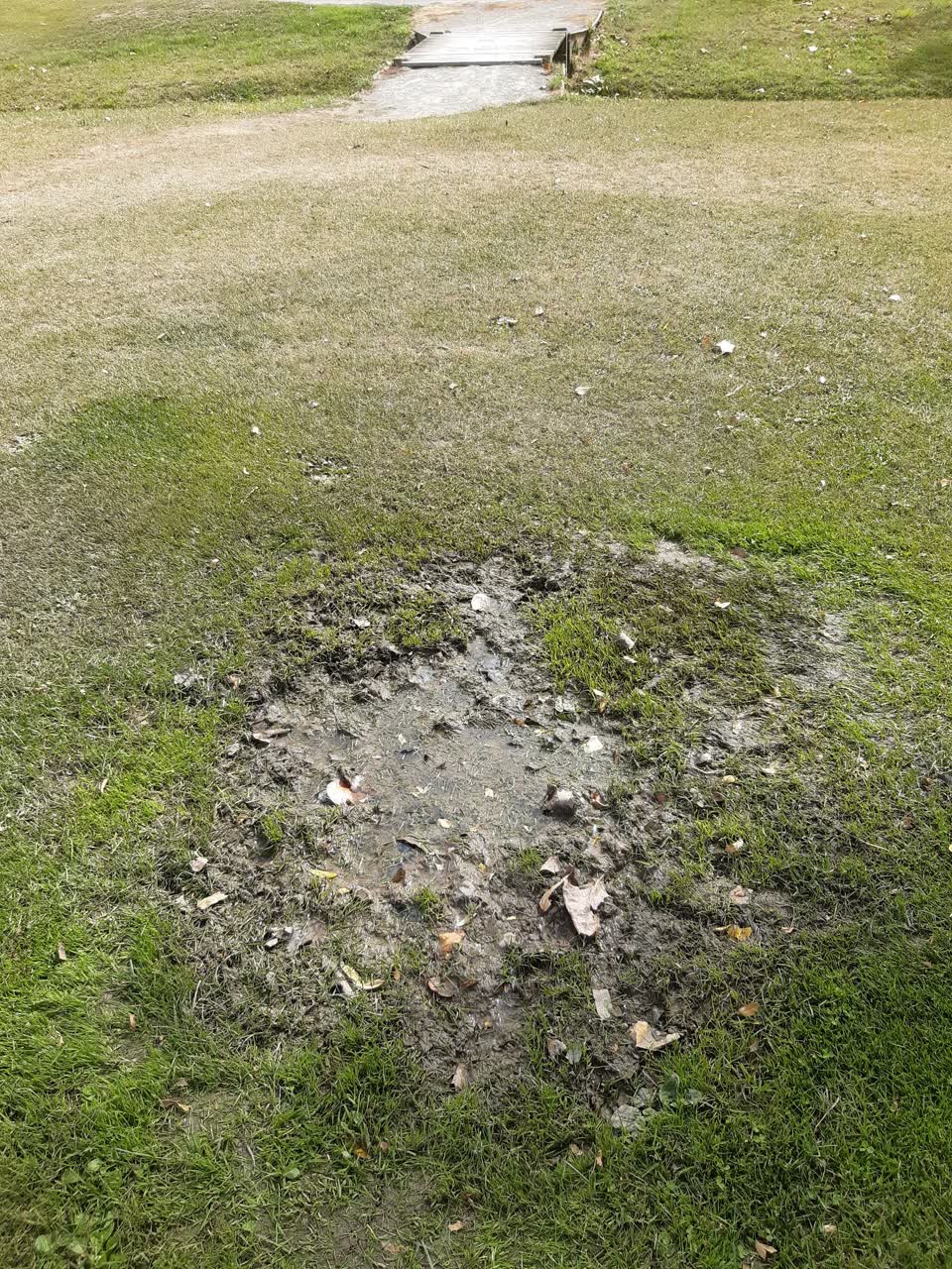 The photograph attached to this parks report