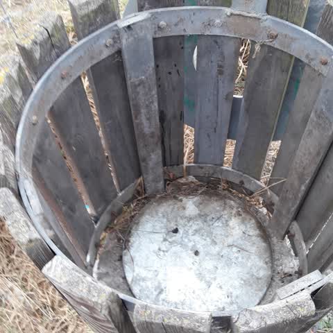 Rubbish/Recycling — a report photo