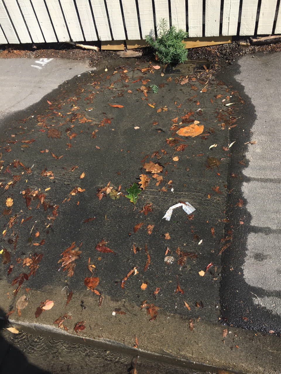The photograph attached to this water supply report