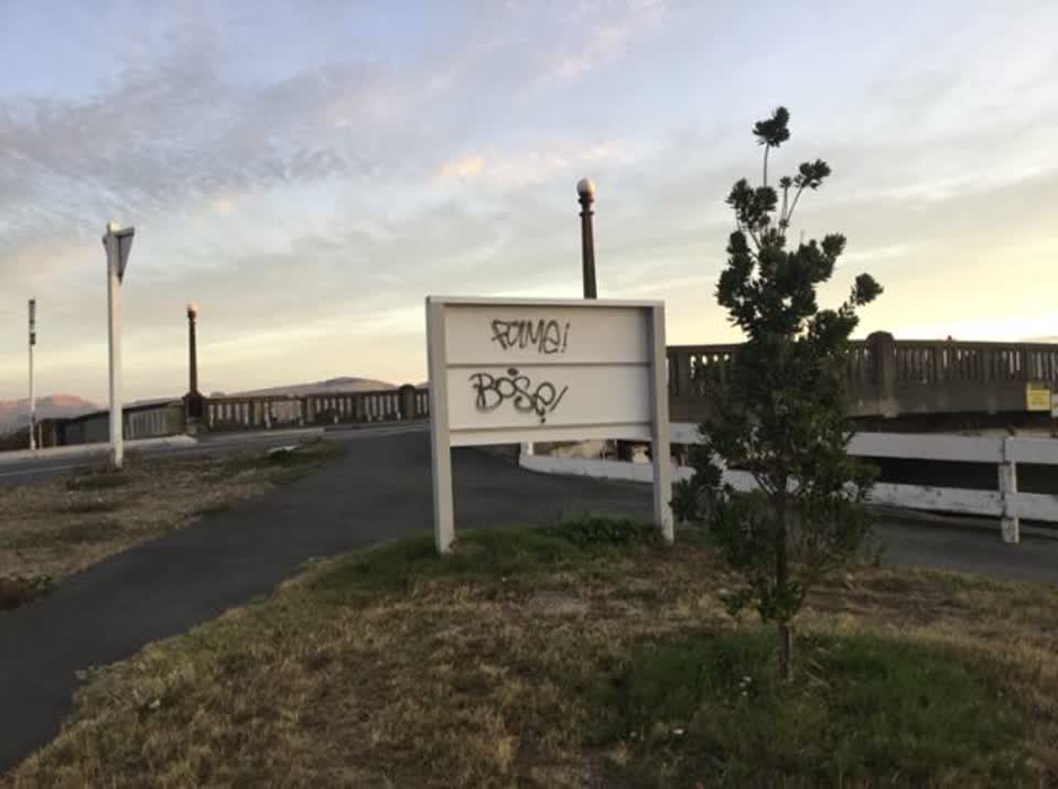 The photograph attached to this graffiti report