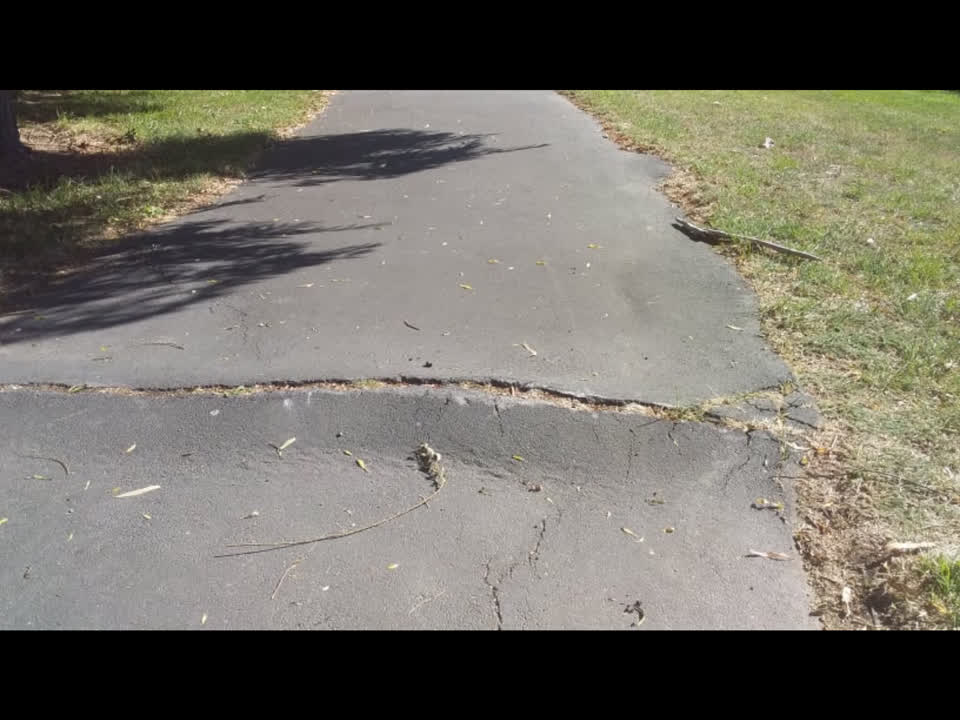 The photograph attached to this parks report